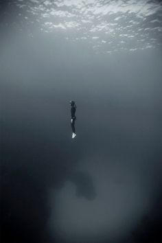 Jay Mug — Underwater photography by Enric Adrian Gener #beautiful #photography #underwater
