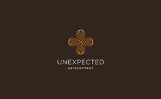 unexpected development logo design #logo #design