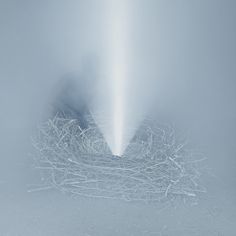 Witness by Photographer Troy Moth | Hi Fructose Magazine #mist #photography #surreal #forest #light #trees