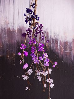 079_Thus_9780385345057_art_r1 #paper #ombre #purple #flowers