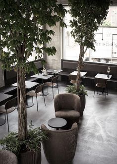 Copenhagen Restaurant Exhibiting Warm and Material Richness Against Raw Concrete Walls