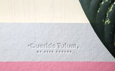 querido tulum branding corporate design graphic design modern visual modern inspiration best türkis rosa pink turquoise plant green art bea