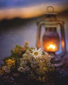 Fine Art Flowers Photography by Tatyana Mironova