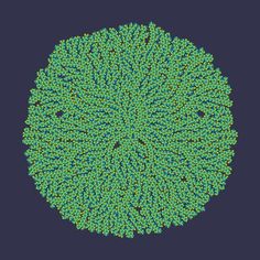 10332555146_fed329fcdc_o.png (1000×1000) #lace #generative #pattern #algae