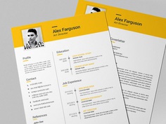 Free Clean Professional Resume Template