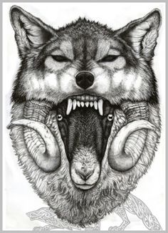 Tumblr #illustration #ram #wolf