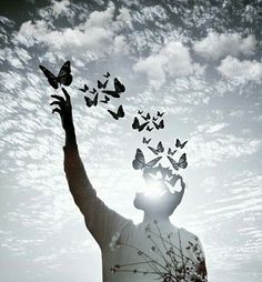 #Sky#butterfly#sun#photography#imagination
