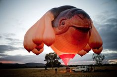 the skywhale hot air balloon by patricia piccinini #skywhale