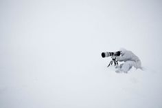 tumblr_lhyyg2v7SQ1qcdg4no1_500.jpg 500×333 pixels #photography #white #snow #nature