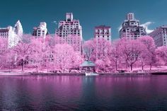 NYCxIR: Ryan Berg Captured Stunning Photos of New York City in Infrared