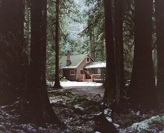 Allie Mount — There was rain #cabin #forest #woods #house