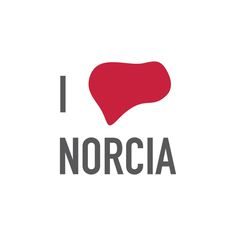 A wish and a little help, for my Norcia that will rise again … #ilovenorcia #norcia #iloveny #danieleliberti #valnerina #umbria #perugia