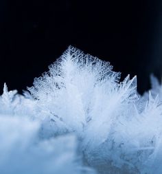 Final Major (Part 2 - Photos) on Photography Served #crystal #frost #snow #winter