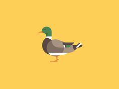 Duck Illustration by Makers Company #illustration #duck #icon #iconic #bird #animal