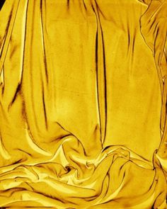 gold velvet