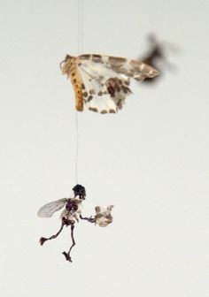 Tessa Farmer - Swarm (detail) - Contemporary Art #tessa #sculpture #insect #art #fairies #farmer