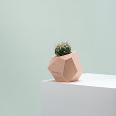 The Marble Shine Collection by frauklarer Presenting: polyhedron planter in salmon www.frauklarer.com #concrete #concretedesign #marble #d