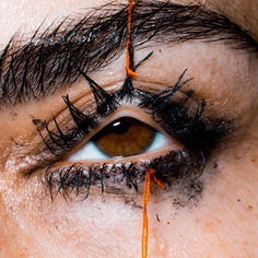 Fascinating and Provocative Close-Up Photography by Marius Sperlich