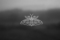 moth and owl tattoo on Behance #moth #drawing #illustration