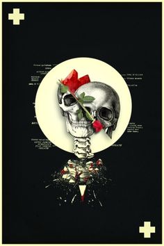 Eyaculacion_Post_Mortem_by_ytuquike.jpg (500×750) #red #death #gothic #poster #flower #skull #dark