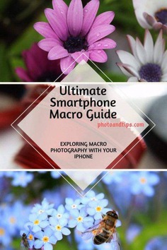 If you are interested to learn the best tips and tactics to deal with the Macro and Close-Up shots, this eBook can guide you better. @photoandtips #photoandtips #smartphonecloseup #iphonemacro #smartphonemacro #smartphonetips #iphonetips #mobiletips #smartphonephotography #iphonephotography #smartphonecamera #smartphonephotographytips #iphonephotographytips #smartphonephoto #iphonephoto #photographytips #photography
