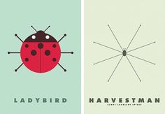 Gentle Pure Space | Graphic design, art, and other creative inspiration - Part 2 #bug #graphic #insect #illustration #nothing