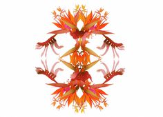 jesus as a flower : Cristian Grossi fashion illustrator and designer #kreativehouse #flower #contemporary #artwork #illustration #art #fashion #grossi #cristian