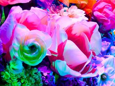 Torkil Gudnason | PICDIT #photo #color #photography #art #flowers