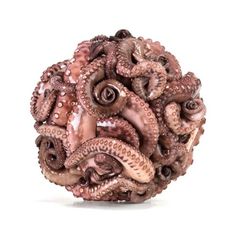 Found Shit : Funny, Bizarre, Amazing Pictures & Videos #octopus #ball