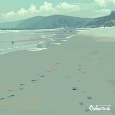 tumblr_lymzoogEB91r9626to1_1280.jpg 1.000×1.000 pixels #water #land #bird #kevin #illustration #beach #dart #coast