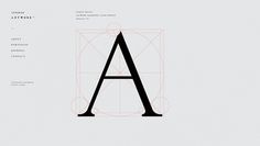 Cool Minimalist Website designs | DESIGNLANDER #simple #tyoe #minimalist #minimal