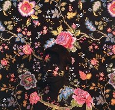 FFFFOUND! | I need a guide: cecilia paredes #florals #cecilia #painting #paredes #illusions