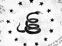 Dribbble - Momentus by Jon Contino #jon #contino #illstration #snake