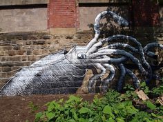 Squid street art in Sheffield #abstract #surrealism #art #street #surreal