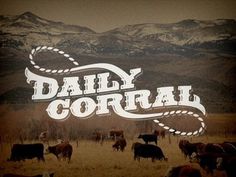 Identity/Branding/Logo / Daily Corral #logo #western