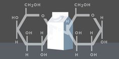 Milk Chemistry | Lactose Molecule #flat #vector #design #illustration #chemistry #milk #science