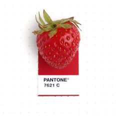 Graphic Designer Inka Mathew Matches Everday Objects to Pantone Colors