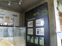 Mernda Village #plants #design #exhibition #nature #wall #leaves #graphics #brochure #typography
