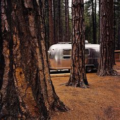Airstream at Yosemite National Park, CA 1980 #vintage #photography #airstream #trees