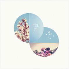 The Collective Loop Playlist-71 | The Collective Loop #playlist #circles #flowers #tcl #coverart