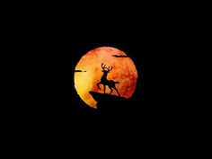 #logo,#paint,#deer,#night