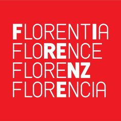 Florence by Fabio Chiantini
