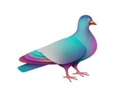 aolartistslaboca.jpg #pigeon #illustration #colors #funky