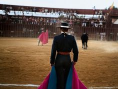 Bull Fight by Gina LeVay #inspiration #photography