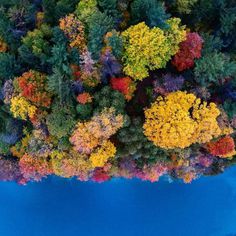 Chase Guttman Travels All 50 US States With His Drone