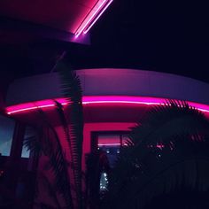 #neon #noir #palmtrees