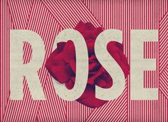 BRAINFISHWARLIMEROSE on the Behance Network #graphic #rose