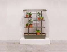 Flatpack Greenhouse