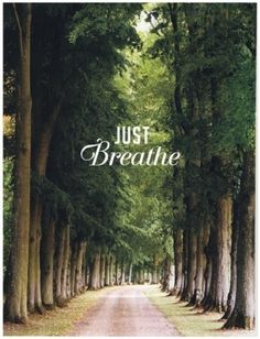Sara Lindholm #nature #poster #breathe