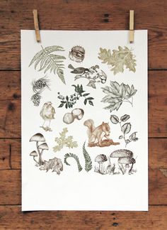 FLOURISH IN OBSCURITY on Behance #illustration #autumn #poster #animals #forest #leaves